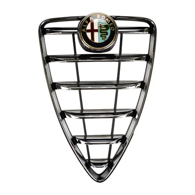 Radiator grille
