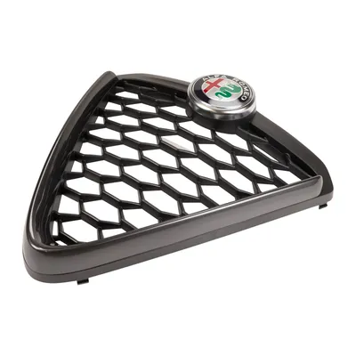 Radiator grille