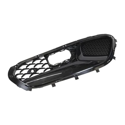 Radiator grille right