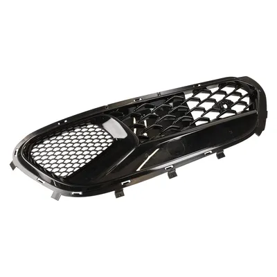 Radiator grille left