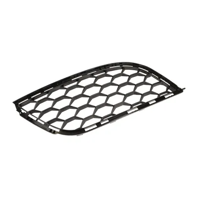 Radiator grille right