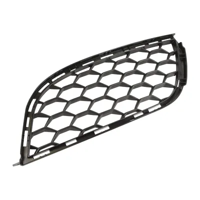 Radiator grille front left