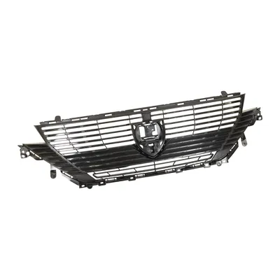 Radiator grille