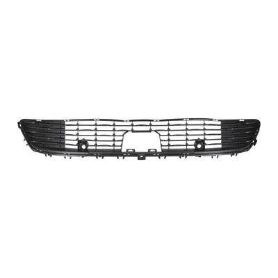 Lower radiator grille