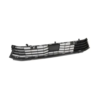 Front lower grille
