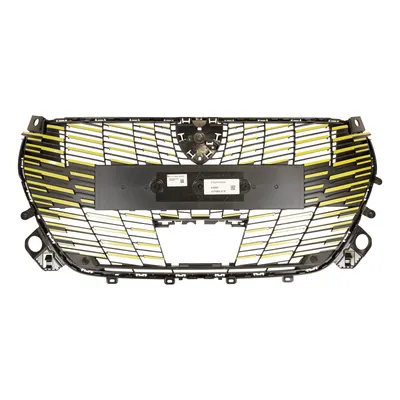 Radiator grille