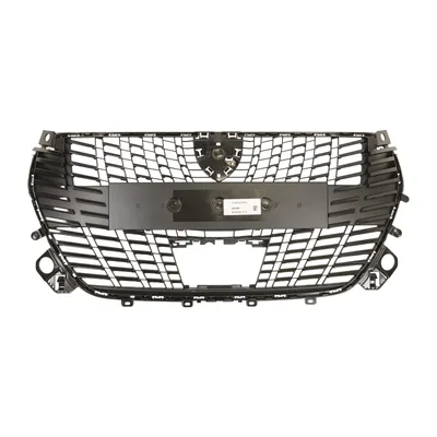 Radiator grille
