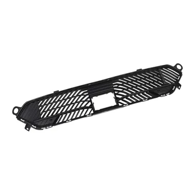 Front lower radiator grille