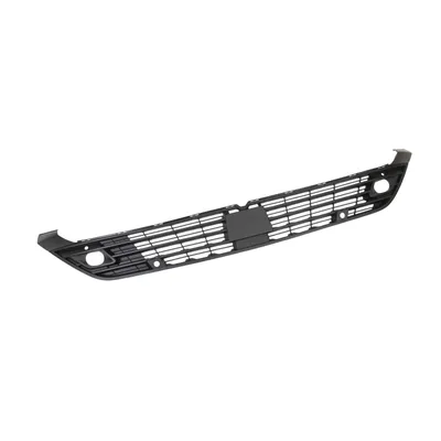 Front radiator grille