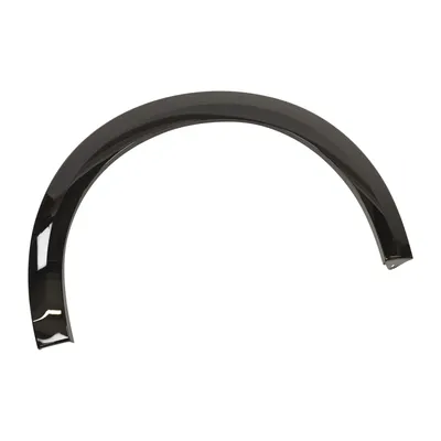 Trim strip, rear left wheel arch