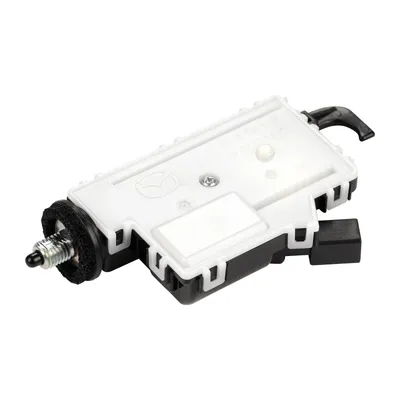 Tank cap lock