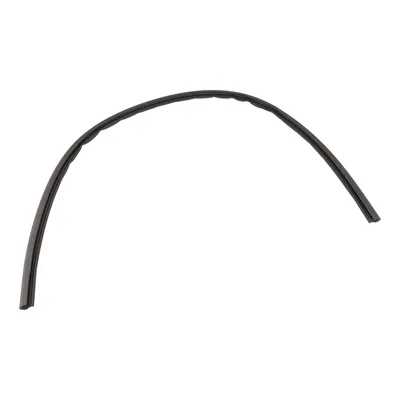 Door seal on the roof trim strip