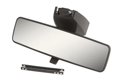 Interior mirror with rain sensor