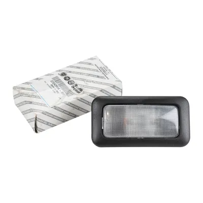 Interior light ceiling light