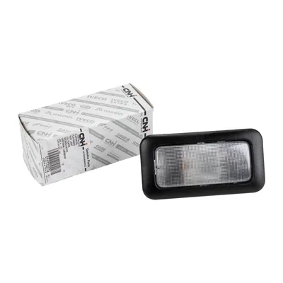Ceiling light