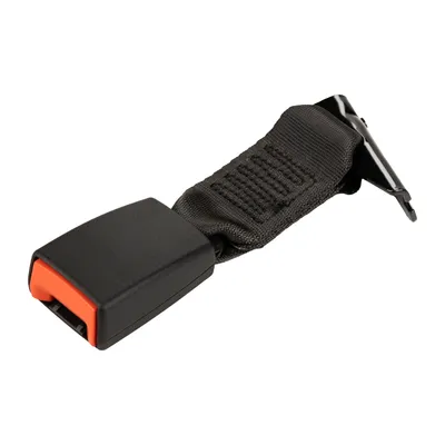 Belt whip rear right