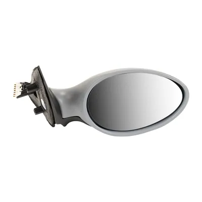 Right exterior mirror can be painted