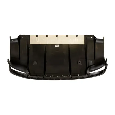Rear bumper lower