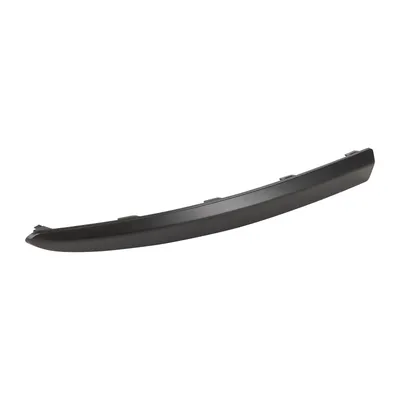 Front bumper trim strip