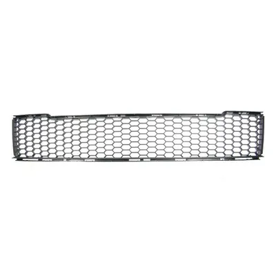 Radiator grille front bumper