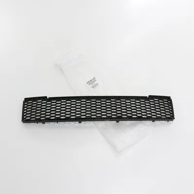Radiator grille front bumper