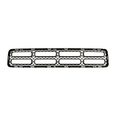 Grille on the front bumper