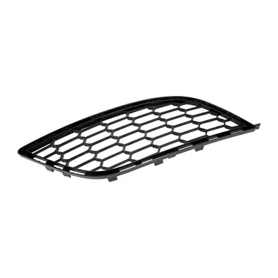 Radiator grille on the right bumper