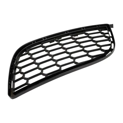 Radiator grille on the left bumper