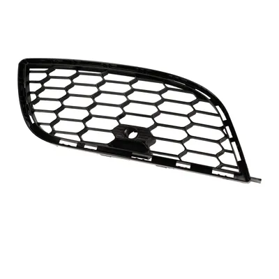 Radiator grille on the right bumper