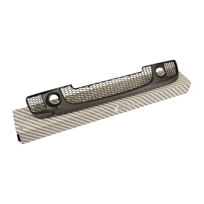 Grille bumper front