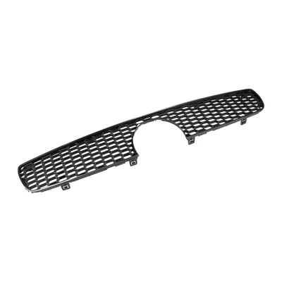 Front bumper grille with chrome strip