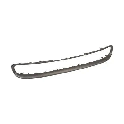 Trim strip on the front bumper