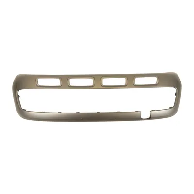 Trim strip on the front bumper