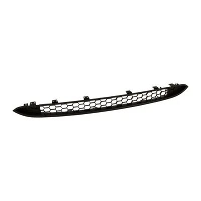 Front radiator grille