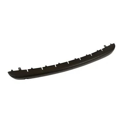 Front bumper trim
