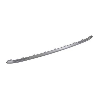 Trim strip on the front bumper