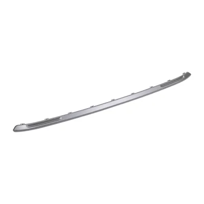 Trim strip on the front bumper