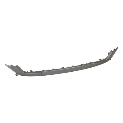 Trim strip on the front bumper