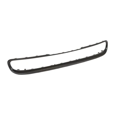 Front bumper trim strip