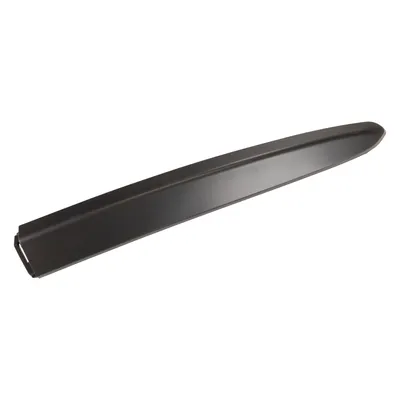 Front bumper trim strip