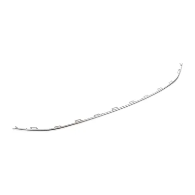 Front bumper trim strip