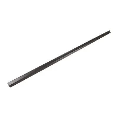 Lower trim strip front door right