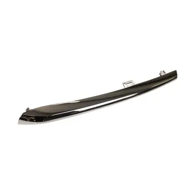 Cover, trim strip for the front bumper left