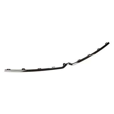 Trim strip for the front bumper