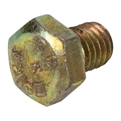 Bolt M8 X 10 mm