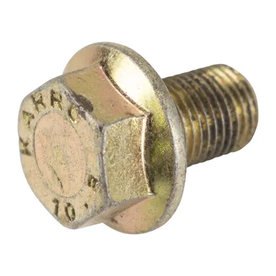 Screw for converter mounting,