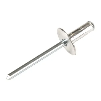 Rivet OE (51798831)