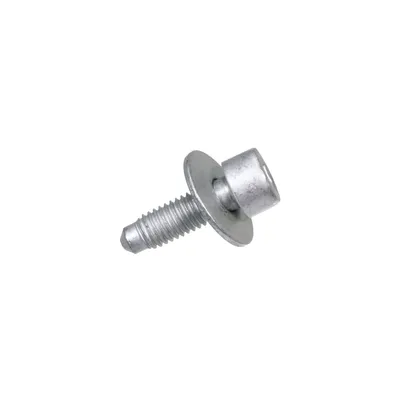 Screw with washer