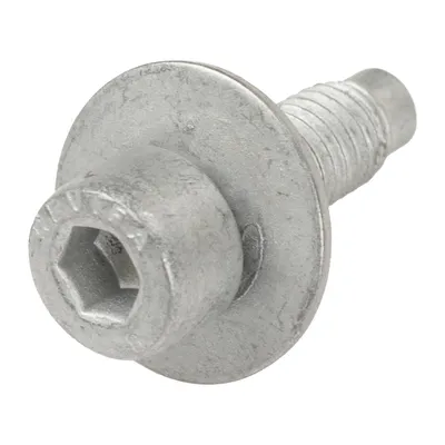 Screw with washer