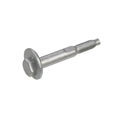 Screw for the rear axle